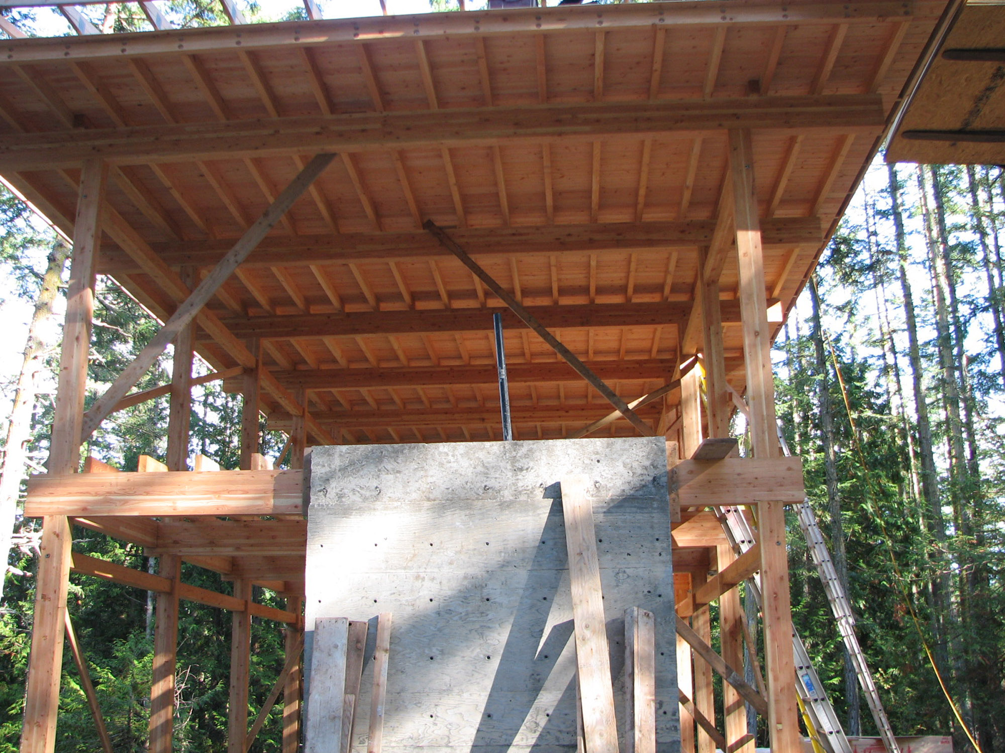 Shaw Cabin construction