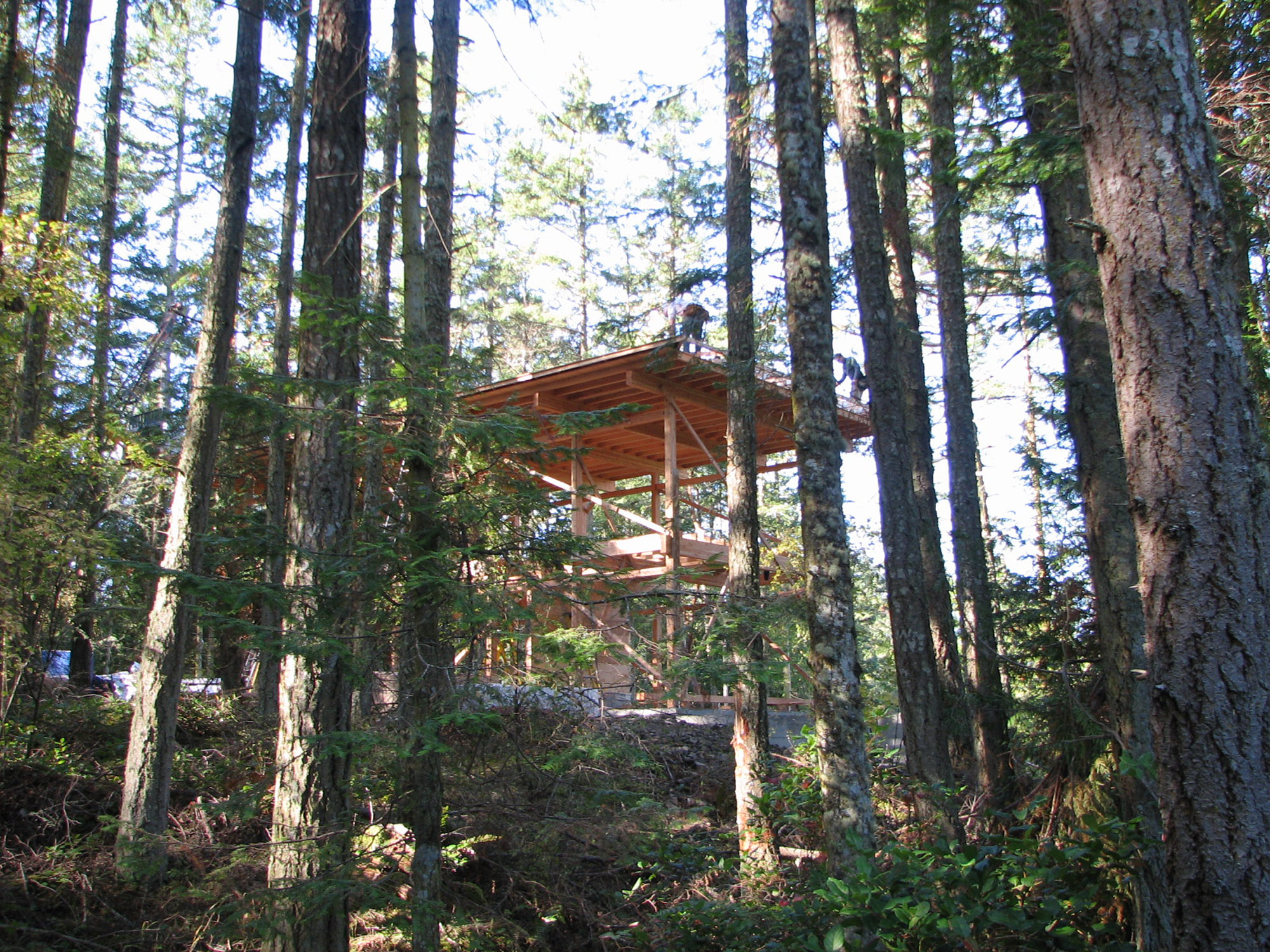 Shaw Cabin construction